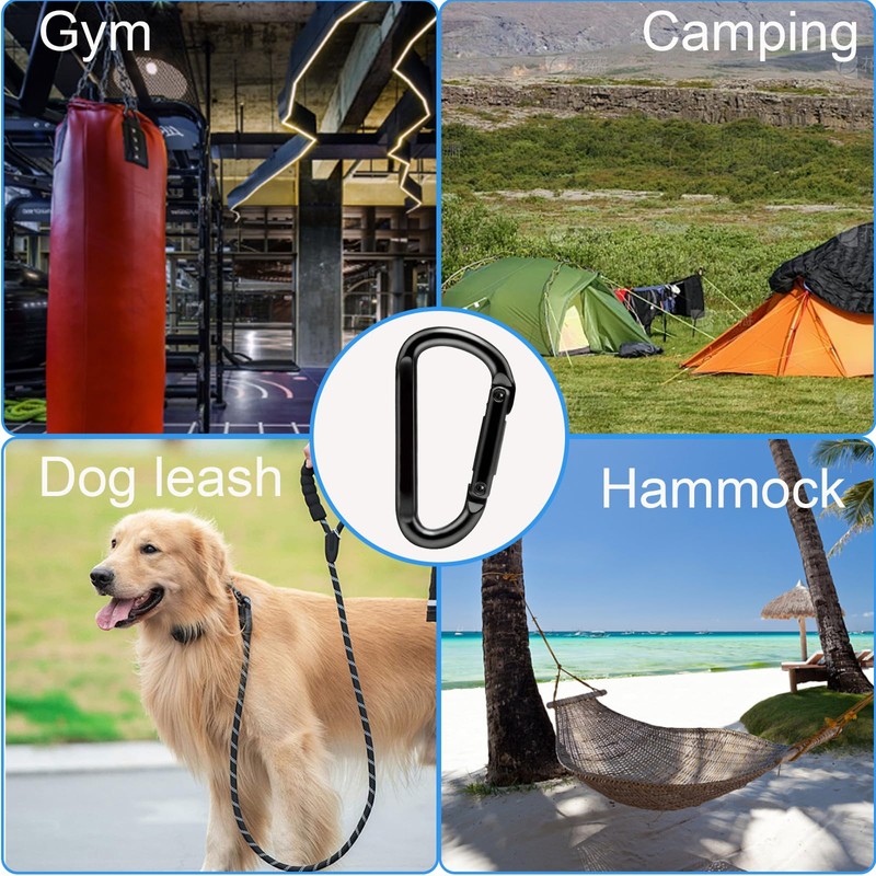 10 Pcs Heavy-Duty Carabiner, D-Shaped Spring Hook, Suitable for Camping,