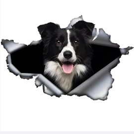 Car Sticker 25 cm (9.8 Inch) Border Collie Sticker Funny Border Collie Car Sticker Pet Dog Waterproof Sticker 3D Torn Metal Reflective Sticker Decorative