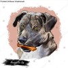 Mountain Cur Dog isolated digital art illustration. Hand drawn dog