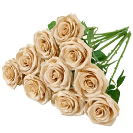LATRORA 10 Pcs Artificial Roses, Beige Fake Roses with Stems Silk Flowers, for Home Garden Party Hotel Office Decor