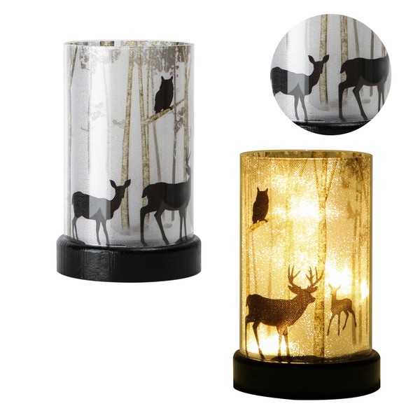 Battery Operated Table Lamp, Cordless Lamps for Home Decor, Battery