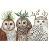 Kitchen Papers Winter Owls Paper Placemat Set