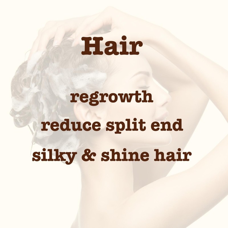 Well's Oil Fermented Rice Water Shampoo (8 Fl Oz) -