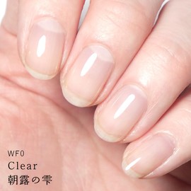 HOMEI WF0 Weekly Gel Clear 0.4 fl oz (10 ml)