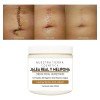 Crema Humectante-cicatrizante Anti-edad Jalea Real Melipona 250ml Todo Tipo De