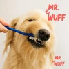 Cepillo Dientes Para Perro Gato 3 Pzas Doble Cabezal Mr