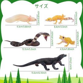 TOYMANY 12PCS Wildlife Figures Set Cold Blooded Animal Figures Reptile Animal Toy Model Realistic Animal Model Toy Spider Gecko Frog Birthday Present Ornaments Christmas New Year Collection 6+ Years