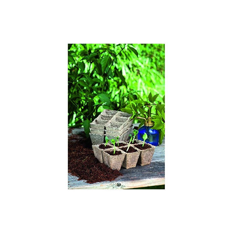 Romberg Classic Square Cultivation Pots 5 x 5 cm (Pack