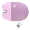 Wireless Mouse BT5.1 Or 2.4GHz Silent Click Adjustable DPI Auto