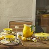 Bico Lemon Shape Cute Handpainted Stoneware Pitcher, Microwave & Dishwasher