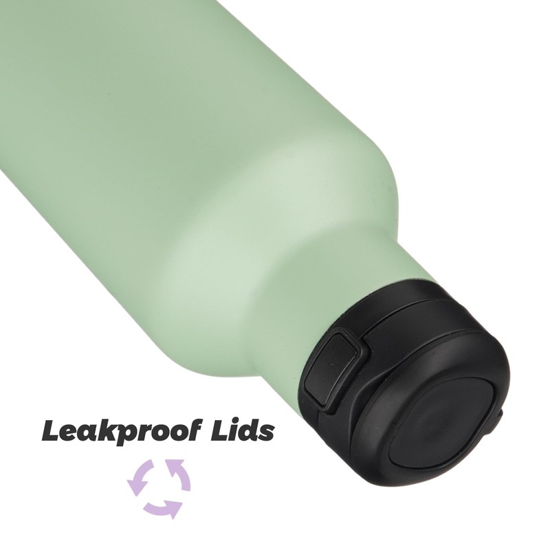 Insulated Water Bottle with Straw,17 OZ Double Wall Vacuum Stainless