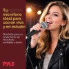 Pyle PDMIC59 - Micrófono vocal dinámico profesional, micrófono de mano