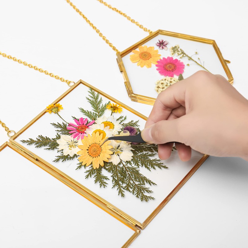 Double Glass Frame for Pressed Flowers - w/Real Dried Flowers