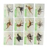 12 Set Dinosaur Egg Dig Kit Dinosaur Egg Excavation Kit