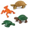 Safari Ltd. Frogs & Turtles TOOB - 12 Mini Frog