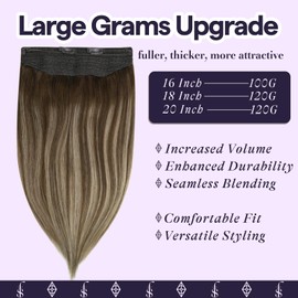 Fshine Invisible Wire Hair Extensions 2/3/27 Balayage Darkest Brown to Honey Blonde Mix Brown Natural Hair Extensions Human Hair Fish Line Remy Human Hair Layered Hairpiece Clip ins 20 Inch 120G