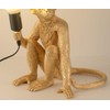 CHABEI Modern Table Light, Monkey Desk Lamp, Resin Sitting Monkey