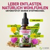 DKT-Natura Leberplus Tropfen - Unterstützt Leberentgiftung, gegen Fettleber (50 ml,