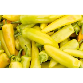 Southeast Seeds Yellow Hot Jalapeno Pepper Seeds, NON-GMO, Caloro Pepper, FREE SHIPPING - 100 Seeds
