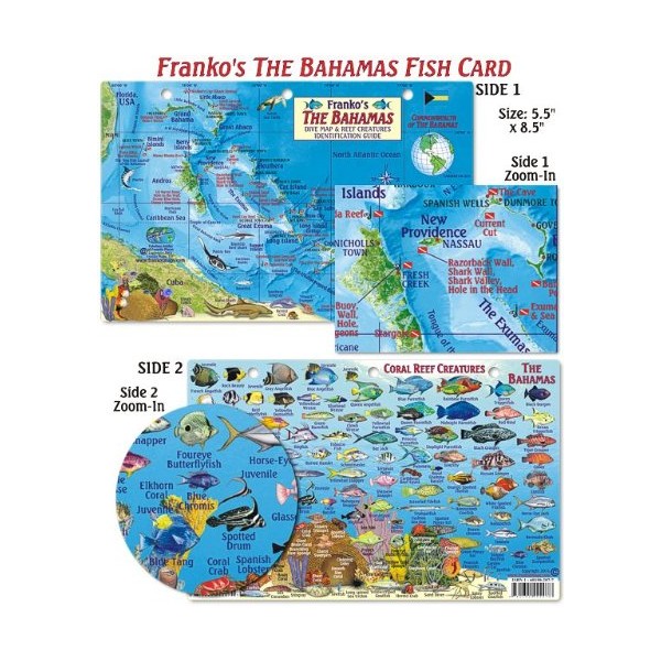 Franko Maps Bahamas Fish ID for Scuba Divers and Snorkelers