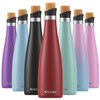 SASEUM Wine Bottle, 24 oz Insulated Stainless Steel Water Bottle