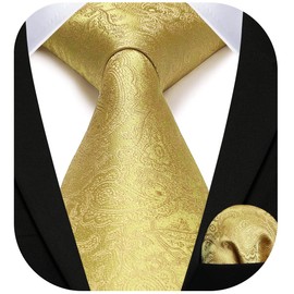 HISDERN Mens Paisley Gold Tie for Wedding Tie Handkerchief Men's Necktie & Pocket Square Set