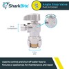 SharkBite 1/2 x 1/4 Inch Compression Angle Stop Valve, Quarter