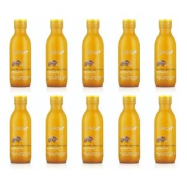 Mayoreo Salerm Alea Shampoo Argan Cabello Maltratado 10 Pzas