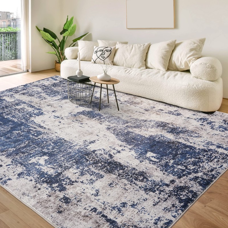 Area Rug Living Room Rugs: 5x7 Large Soft Indoor Carpet