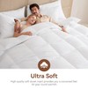 LeWinBedding Goose Feather Down Fiber Comforter King Size, All Season
