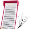 SEEDEW Eyelash Extensions Premade Fans, MIX8-15mm D Curl 0.07mm 12
