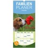 Family Planner 2025 - Beagle with 5 Columns (Wall Calendar,