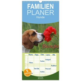 Family Planner 2025 - Beagle with 5 Columns (Wall Calendar, 21 cm x 45 cm) CALVENDO