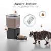 Automatic Dog Feeder - 8L/34 Cups Large Capacity Automatic Cat