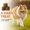 Schupethauer SCHUPETHAUER Dog Trace Mineral Chews C Supports Growth, Nutrient