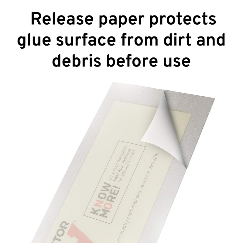 Victor M309 Professional Glue Boards for Insect and Rodent monitoring