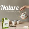 Shana Natural Drink Tea Sidr Leaves Herbal Drink Herbals Herb