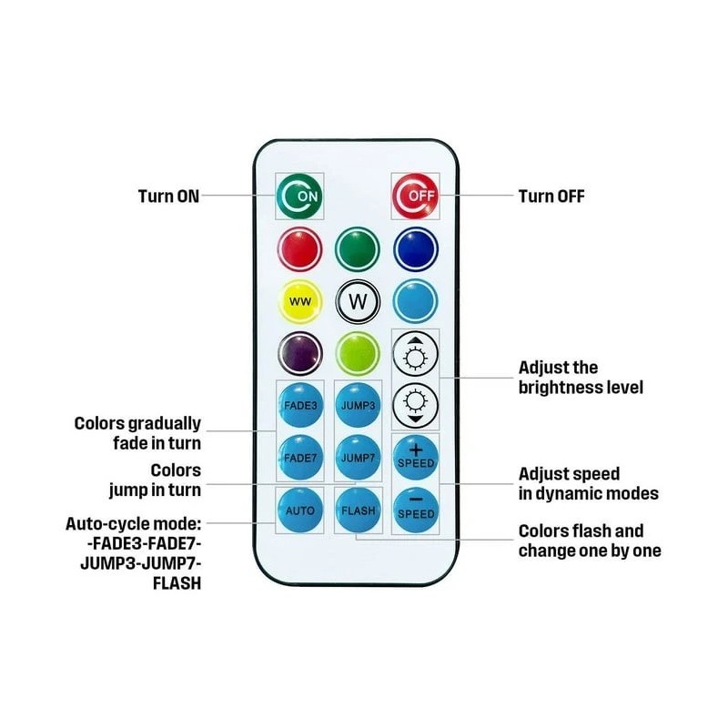 Westinghouse 24 Bulb Color Changing String Light 48 Foot