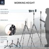 10 Layers Carbon Fiber Travel Tripod Monopod-INNOREL RT55C with 36mm