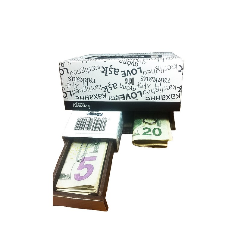 Discreet Hidden Safes by Top Secret - 2 Pack Small