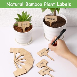 75Pcs Bamboo Plant Labels with 1 Marker Pen, T-Type Natural Seedling Nursery Sign Tags, Wood Garden Markers Decorative Patio Tags for Outdoor Indoor Potted Plants Herbs Flowers Vegetables