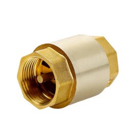 Felimoa Check Valve, Check Valve, Brass, Oil-Resistant, Compatible with Gas Piping, Female Thread G1 DN25