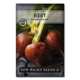 Sow Right Seeds - Golden Globe Beet Seeds for Planting - Non-GMO Heirloom Packet with Instructions to Plant & Grow an Outdoor Home Vegetable Garden - Nutritious, Cold Hardy, Vigorous and Productive