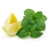 Lemon Mint Herb Seeds - Non-GMO - 0.5 Grams