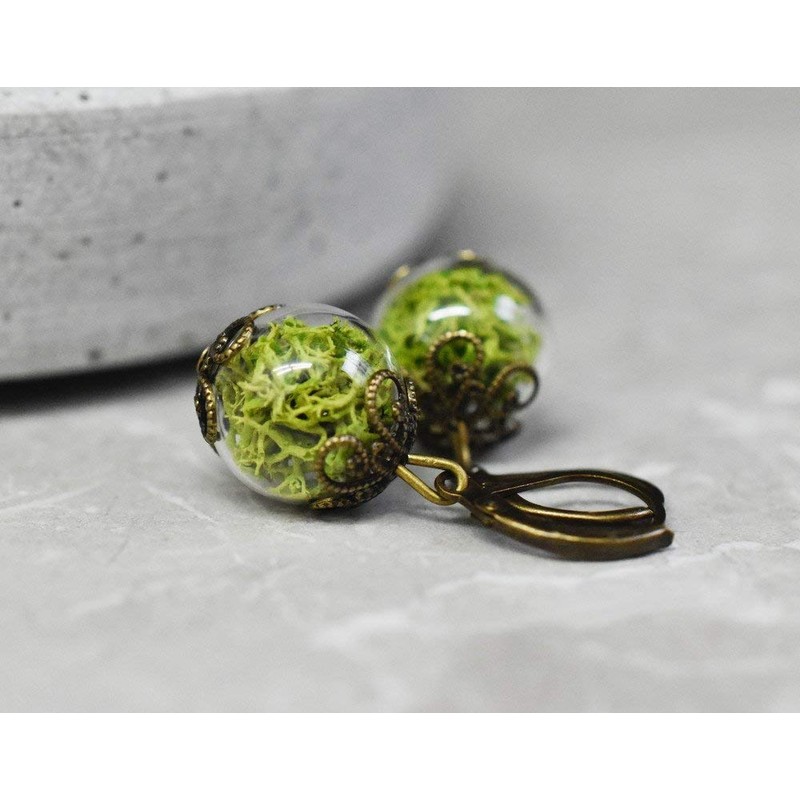 Muscus Islandicus Catharticus Bronze Earrings