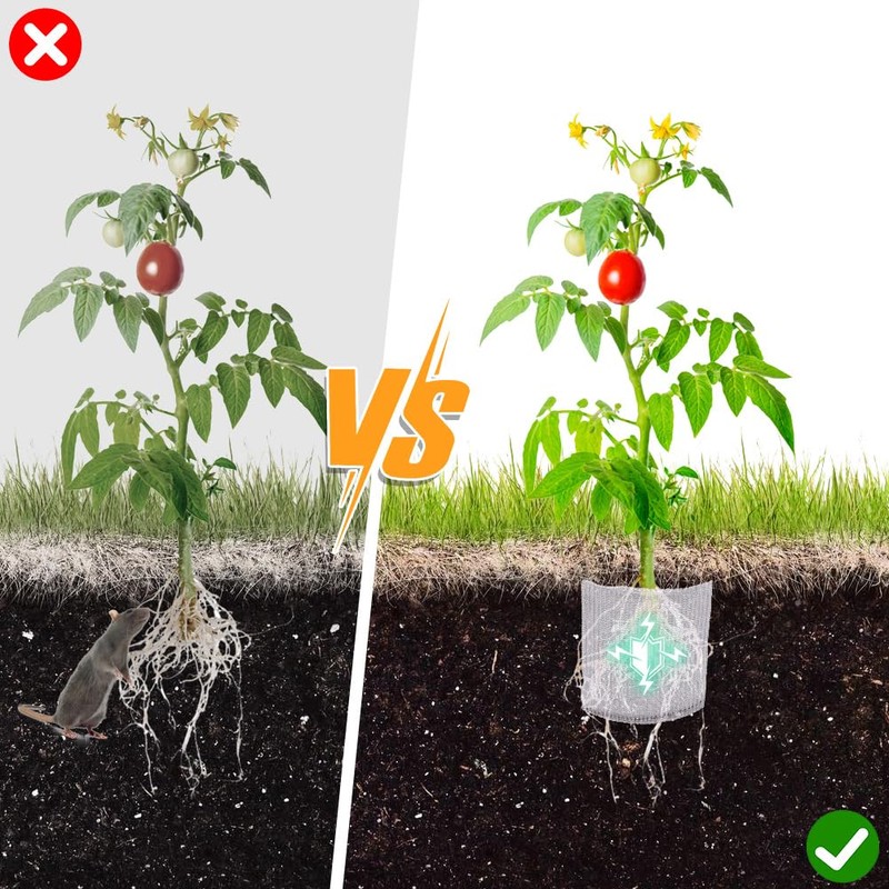 GORGECRAFT 12Pcs 1 Gallon Gopher Wire Speed Baskets Stainless Steel