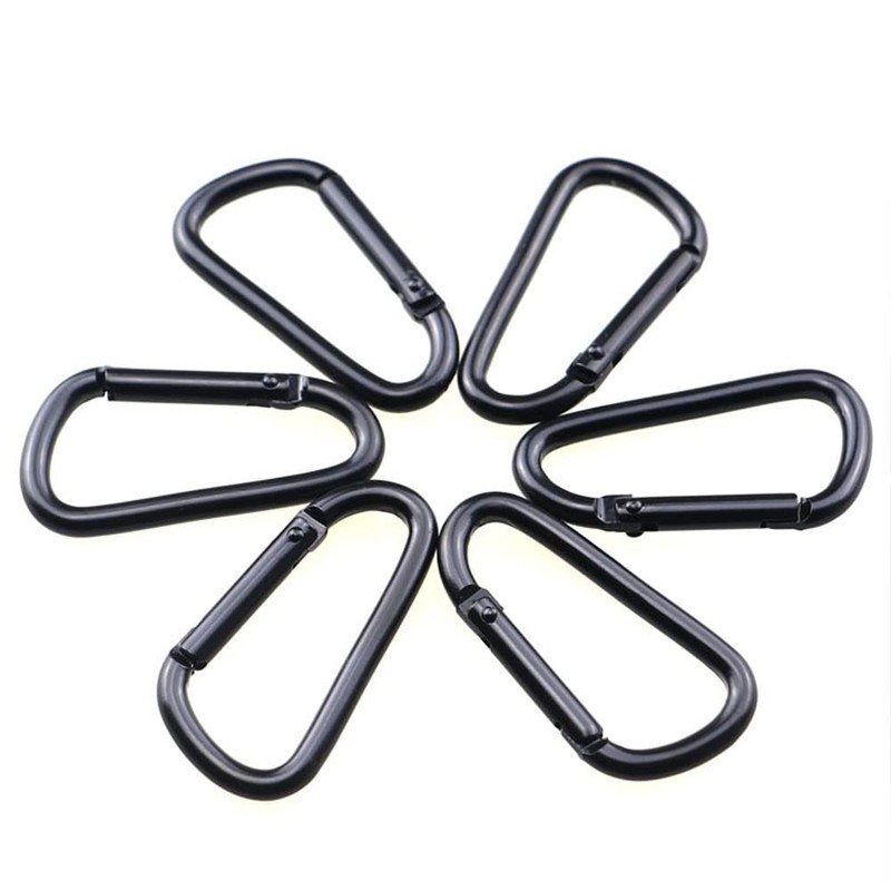 Loopunk 10 Pack Carabiner Hooks, Mini Carabiner for Camping, Hiking,