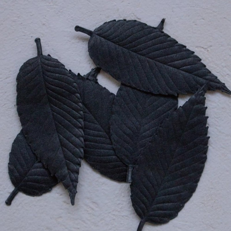 Paper Incense Hako Leaf Incense Ha Ko, Black, Pack of