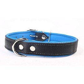 Capadi K0713 Dog Collar Lined with Napa Leather Strong Real Leather Dog Collar, Blue, Width 30 mm, Length 52 cm