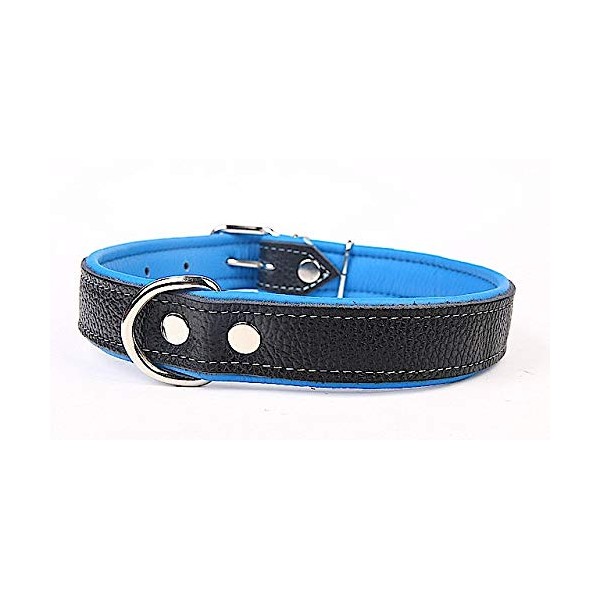 Capadi K0713 Dog Collar Lined with Napa Leather Strong Real